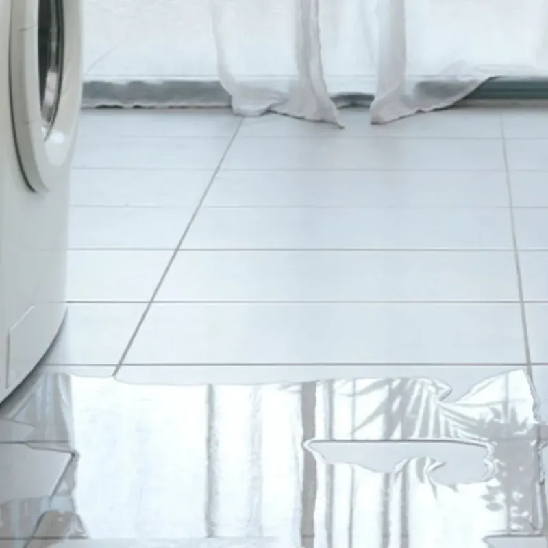 Appliance Leak Cleanup in Winters, CA